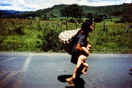 meiselas